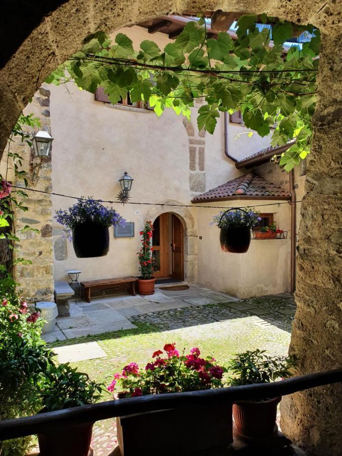 La Tana Del Tasso Rooms&Breakfast Camerata Cornello Εξωτερικό φωτογραφία
